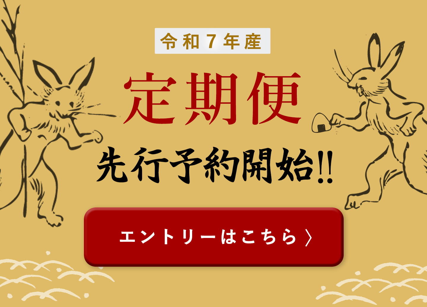 定期便先行予約開始