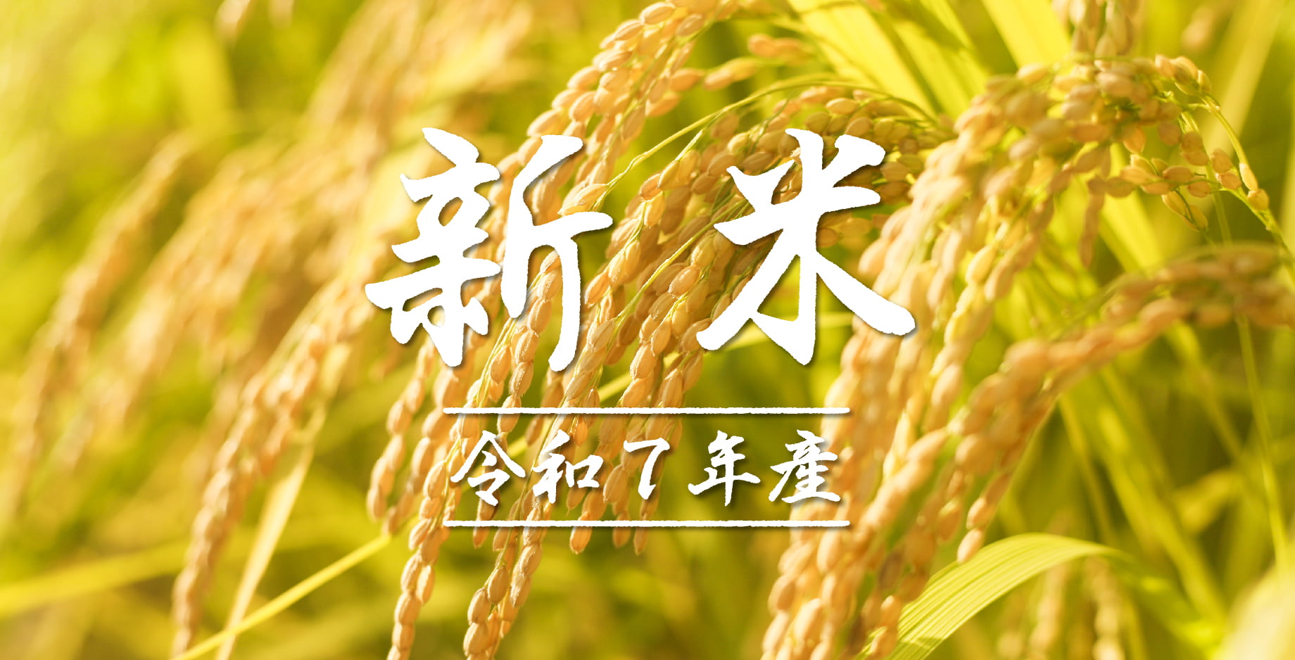 令和7年産 新米