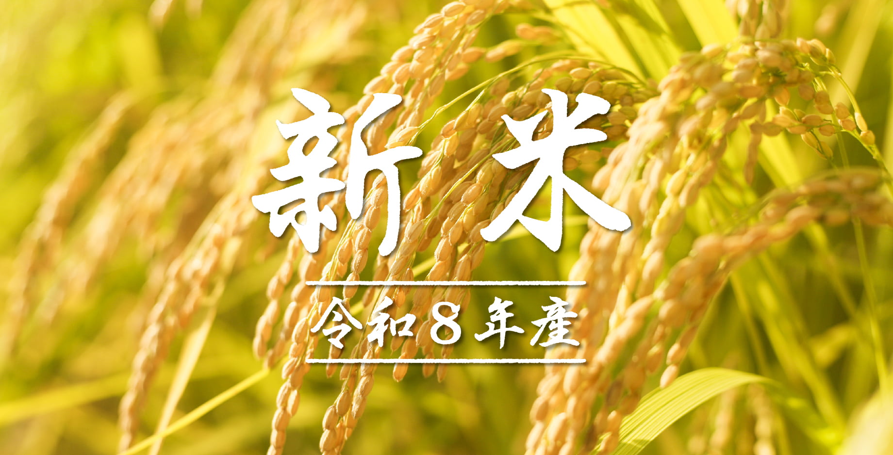 令和8年産 新米
