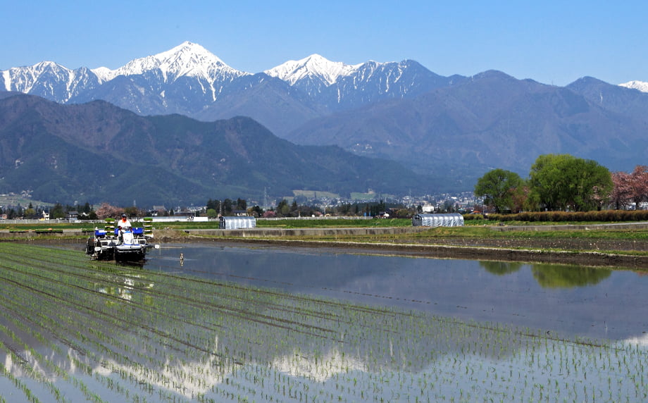 受賞米を育む「天・地・水」