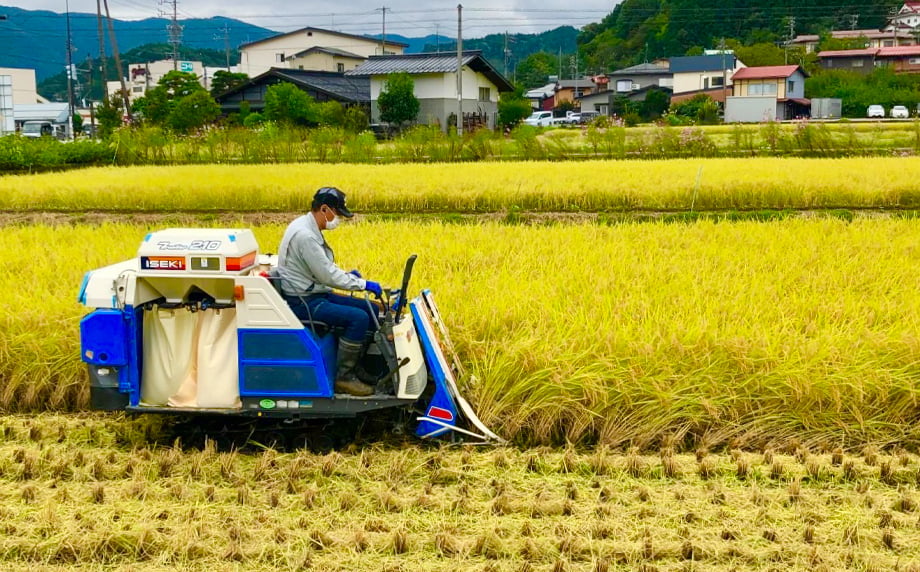 受賞米を育む「天・地・水」
