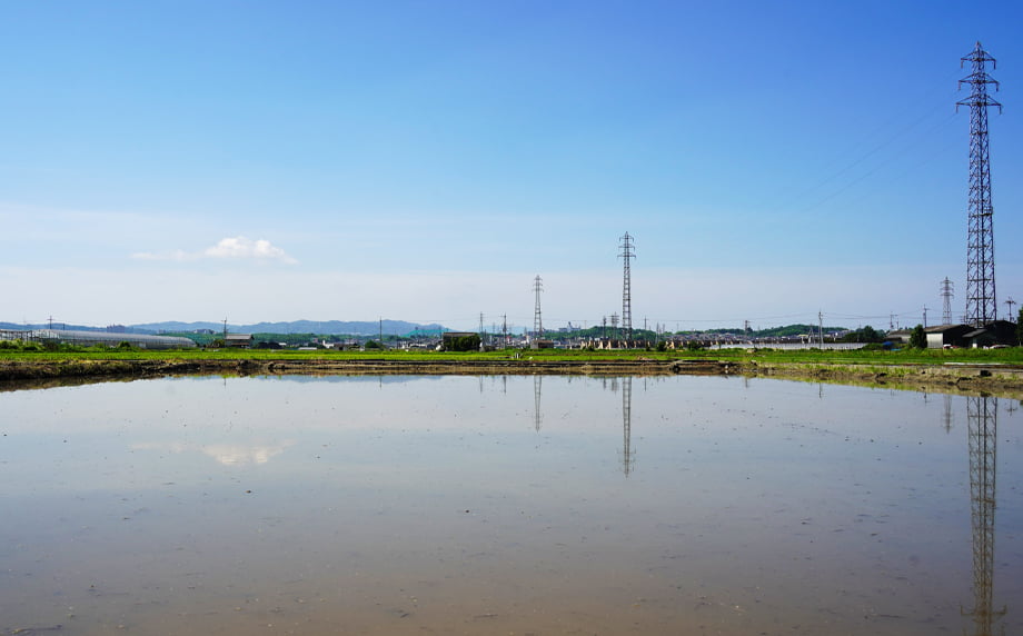 受賞米を育む「天・地・水」