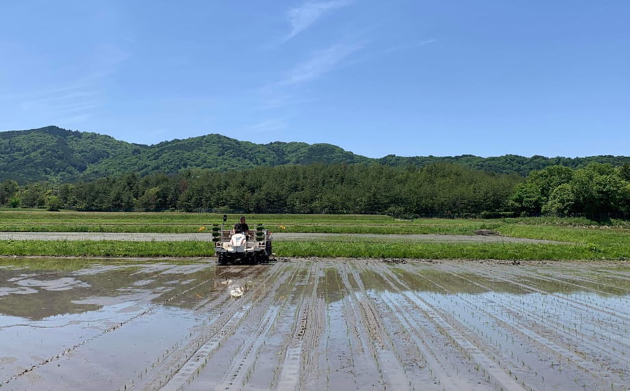 受賞米を育む「天・地・水」